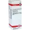 CONIUM D 12 Fortynning, 20 ml