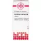 CORALLIUM RUBRUM D 6 tabletter, 80 stk