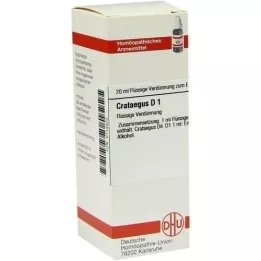 CRATAEGUS D 1 fortynning, 20 ml