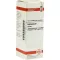ECHINACEA HAB Modertinktur, 20 ml