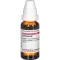 ECHINACEA HAB Modertinktur, 20 ml