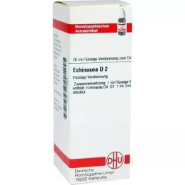 ECHINACEA HAB D 2 Fortynning, 20 ml