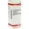 ECHINACEA HAB D6 Fortynning, 20 ml