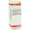 EQUISETUM ARVENSE D4 fortynning, 20 ml
