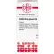 GALPHIMIA GLAUCA D 4 tabletter, 80 stk