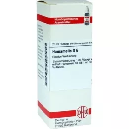 HAMAMELIS D6 Fortynning, 20 ml