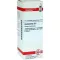 HAMAMELIS D6 Fortynning, 20 ml