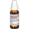 HARPAGOPHYTUM PROCUMBENS D3 fortynning, 20 ml