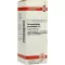HARPAGOPHYTUM PROCUMBENS D6 Fortynning, 20 ml