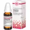 HARPAGOPHYTUM PROCUMBENS D6 Fortynning, 20 ml
