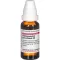 HARPAGOPHYTUM PROCUMBENS D6 Fortynning, 20 ml
