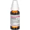 GNAPHALIUM POLYCEPHALUM D3 fortynning, 20 ml