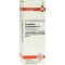 GNAPHALIUM POLYCEPHALUM D4 fortynning, 20 ml