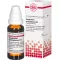 GNAPHALIUM POLYCEPHALUM D4 fortynning, 20 ml