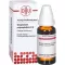 GNAPHALIUM POLYCEPHALUM D4 fortynning, 20 ml