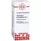 GNAPHALIUM POLYCEPHALUM D4 fortynning, 20 ml