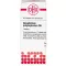 GNAPHALIUM POLYCEPHALUM D 6 tabletter, 80 stk