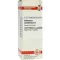COLLINSONIA CANADENSIS D 2 Fortynning, 20 ml