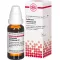 COLLINSONIA CANADENSIS D 2 Fortynning, 20 ml