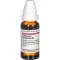 COLLINSONIA CANADENSIS D 2 Fortynning, 20 ml