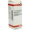 CARDUUS MARIANUS D 1 fortynning, 20 ml