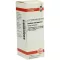 CARDUUS MARIANUS D6 Fortynning, 20 ml