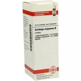 SOLIDAGO VIRGAUREA Modertinktur, 20 ml