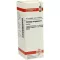 SOLIDAGO VIRGAUREA Modertinktur, 20 ml
