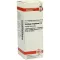 SOLIDAGO VIRGAUREA D3 fortynning, 20 ml