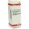 SOLIDAGO VIRGAUREA D6 Fortynning, 20 ml