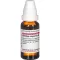 SOLIDAGO VIRGAUREA D6 Fortynning, 20 ml