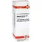 SABAL SERRULATUM D 1 fortynning, 20 ml