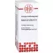 SABAL SERRULATUM D 1 fortynning, 20 ml