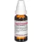 SABAL SERRULATUM D 1 fortynning, 20 ml