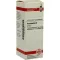 HAMAMELIS Modertinktur, 20 ml