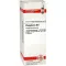PHOSPHORUS D 8 Fortynning, 20 ml