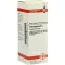 PETROSELINUM D6 Fortynning, 20 ml