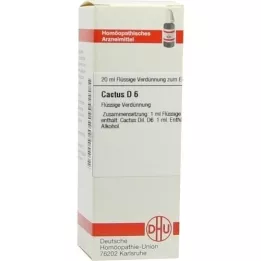 CACTUS D6 Fortynning, 20 ml