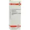 CACTUS D6 Fortynning, 20 ml