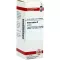 AVENA SATIVA Modertinktur, 20 ml