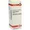 VISCUM ALBUM Modertinktur, 20 ml