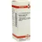 VISCUM ALBUM D 2 Fortynning, 20 ml