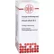 VISCUM ALBUM D 2 Fortynning, 20 ml