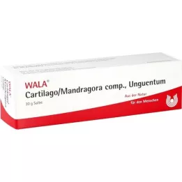 CARTILAGO/Mandragora komp Unguentum, 30 g