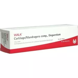 CARTILAGO/Mandragora komp Unguentum, 100 g