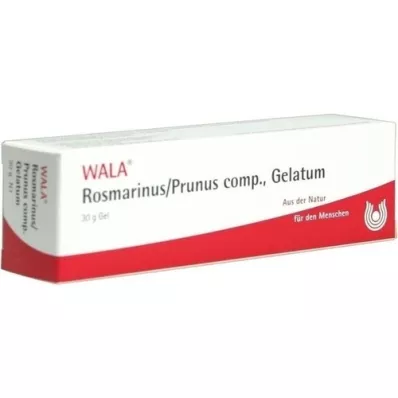 ROSMARINUS/PRUNUS komp. Gel, 30 g ROSMARINUS/PRUNUS komp. Gel, 30 g