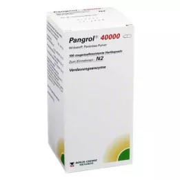 PANGROL 40 000 harde kapsler med enterisk belagt pell, 100 stk