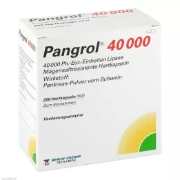 PANGROL 40 000 harde kapsler med enterisk belagt pell, 200 stk