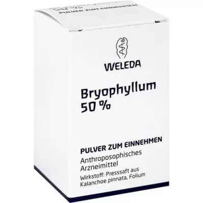BRYOPHYLLUM 50 % oralt pulver, 20 g