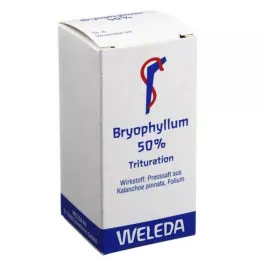 BRYOPHYLLUM 50 % oralt pulver, 20 g